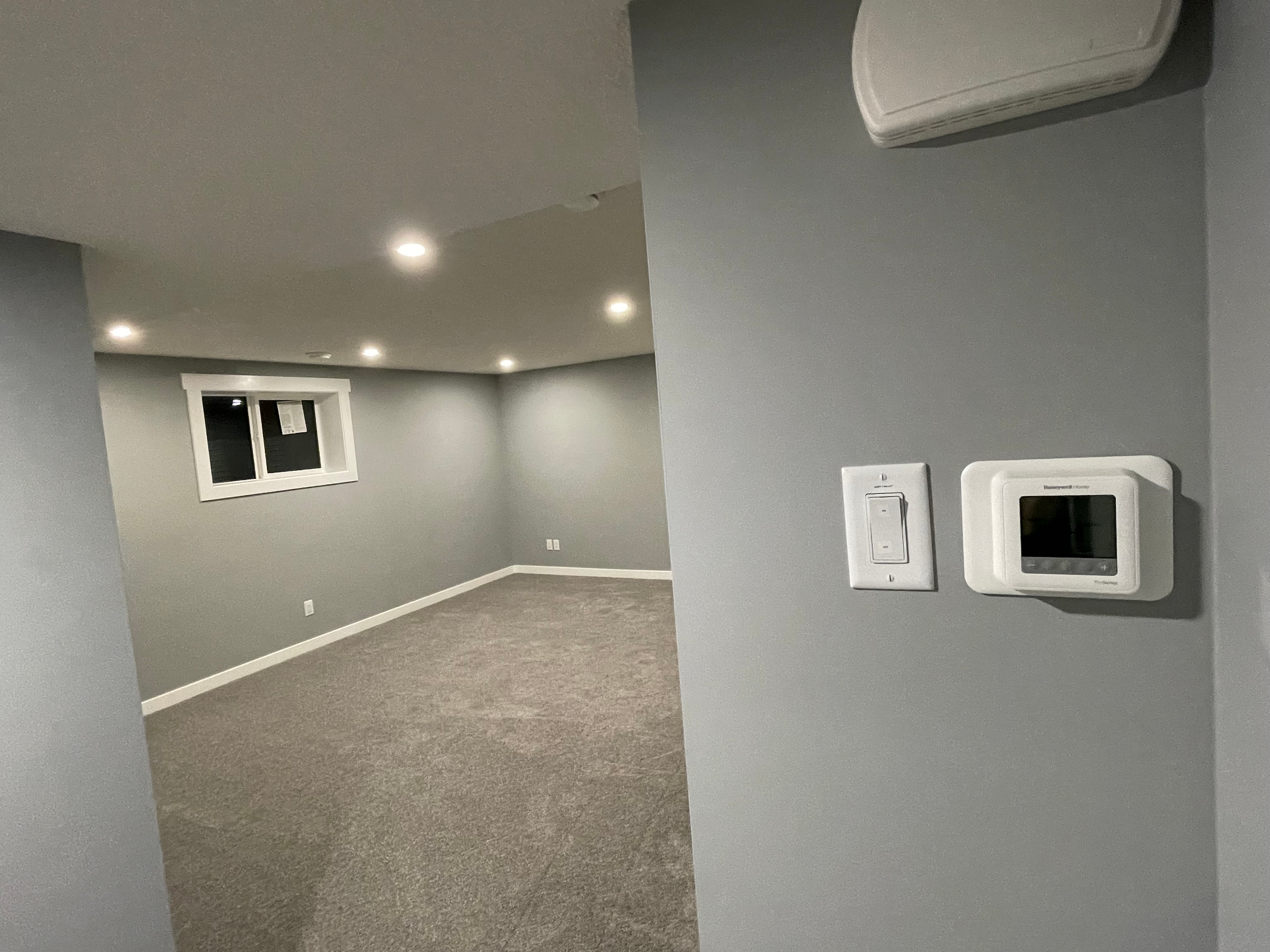 Finished basement living room