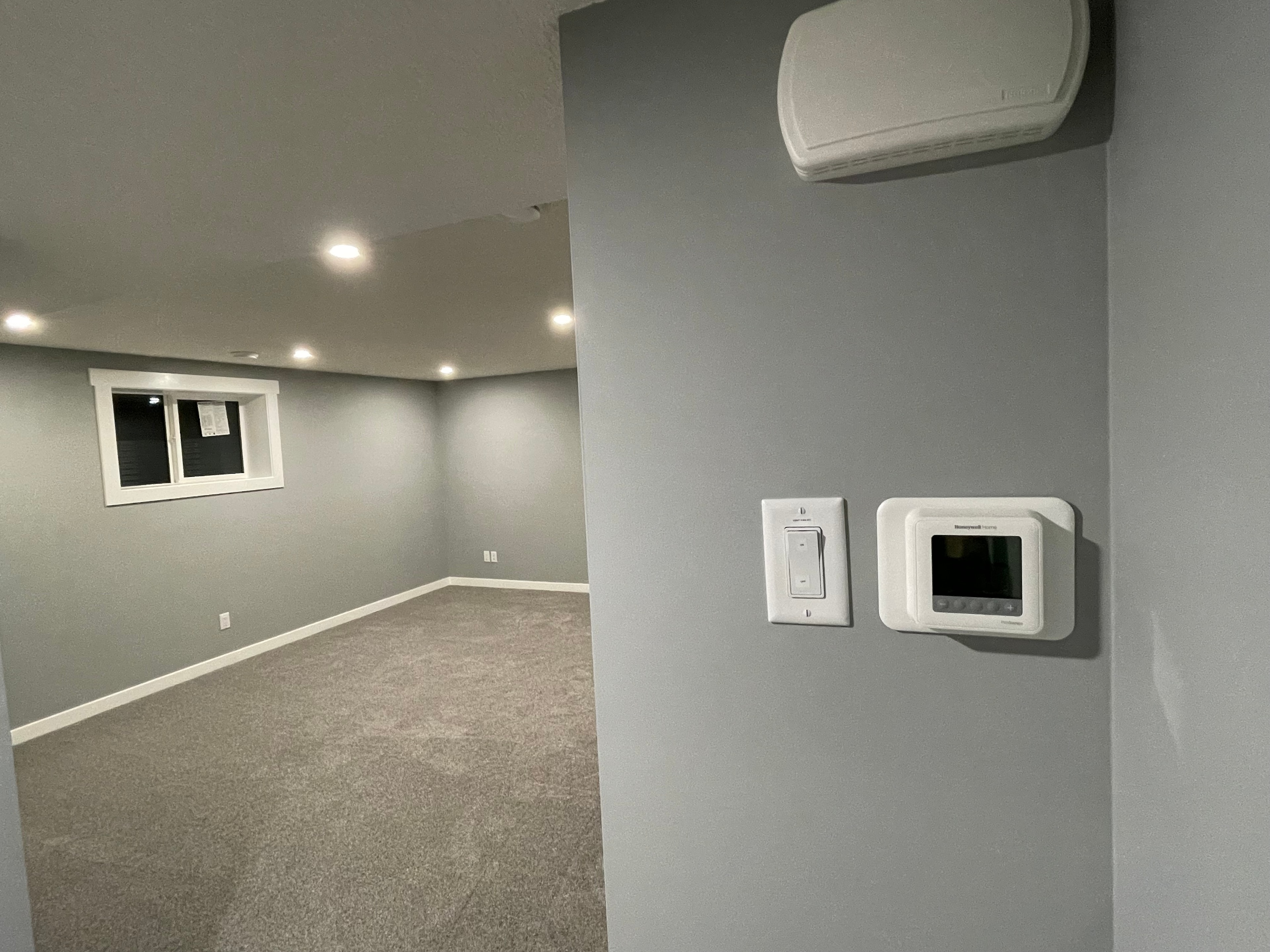 Finished basement family room